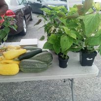 Swansea Farmers Market